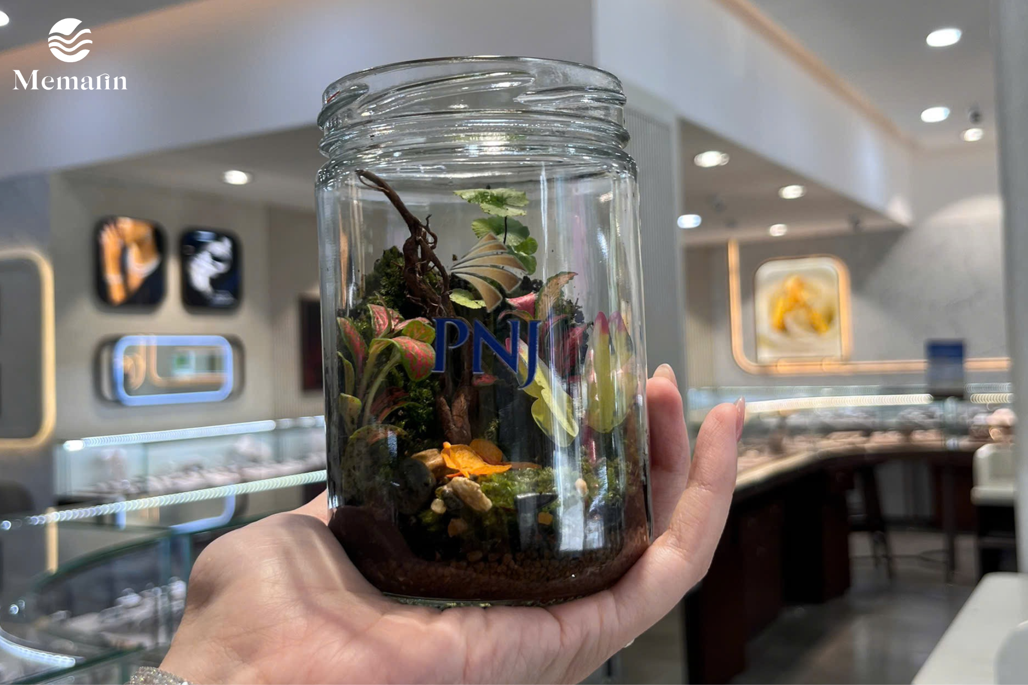 Sự chỉn chu trong từng khâu chuẩn bị Workshop Terrarium 